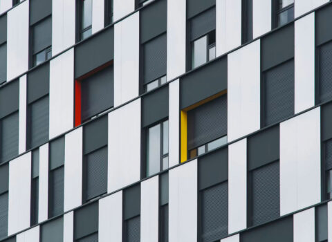 Nam quis sapien ipsum - Probitas